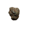 Alien Dawg