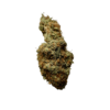 Grapefruit Diesel