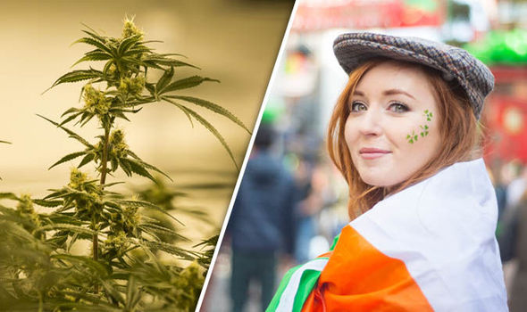 Medical cannabis in ireland and what you need to know