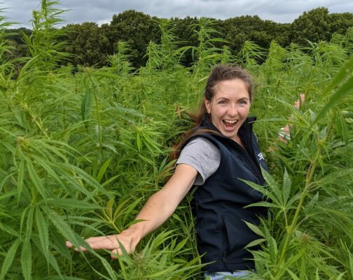 Hemp farming revolution New regulations boost U.K. Sustainability