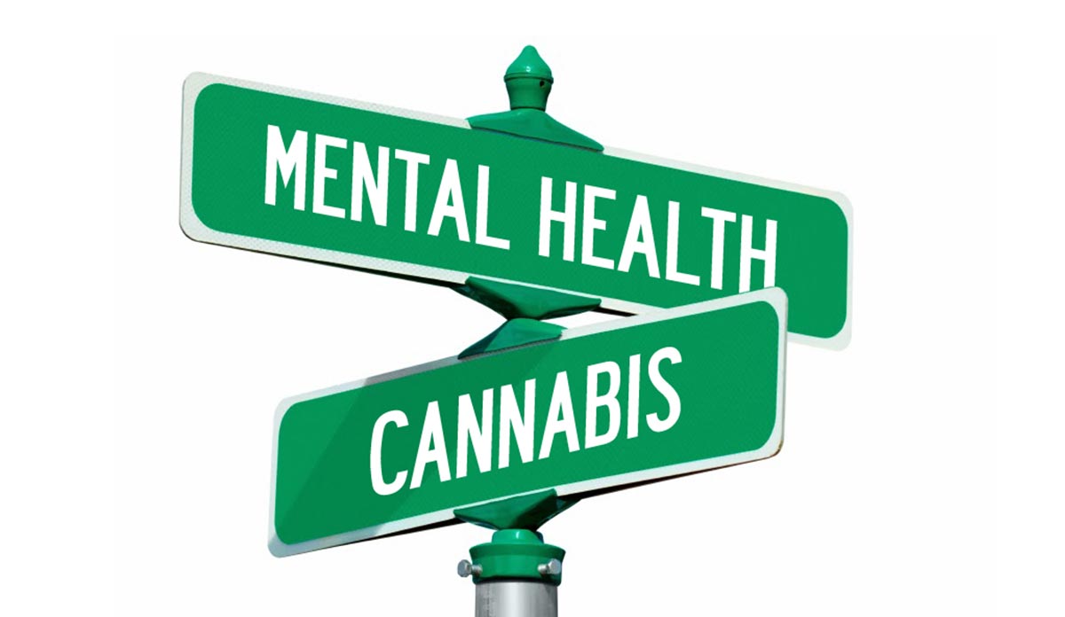 Cannabis and mental health Understanding the connection