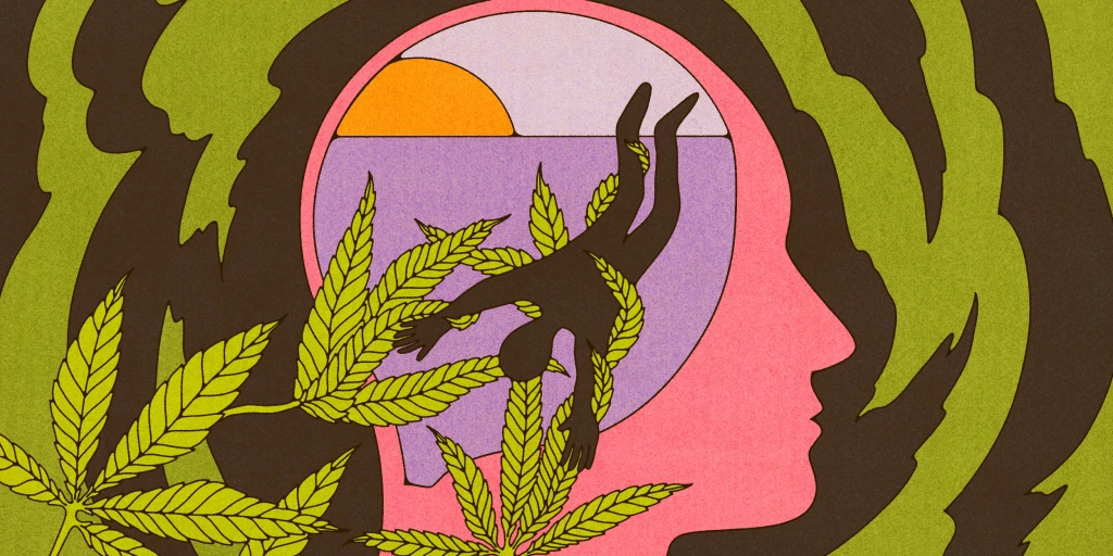 Edible cannabis A different experience